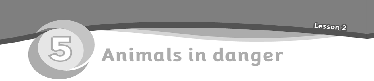 Animals in danger
